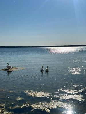 Lada i Rute – charmigt gotlandshus i rustik stil - Bild 18