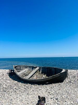 Lada i Rute – charmigt gotlandshus i rustik stil - Bild 20