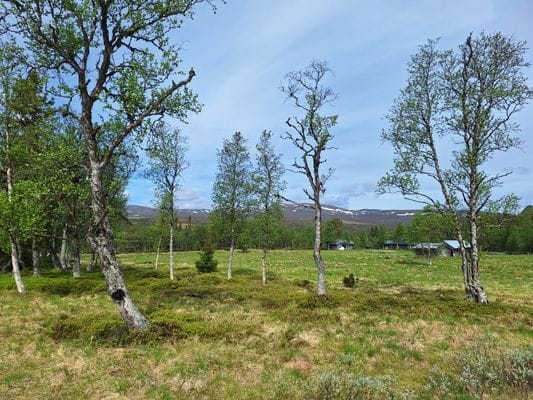 Nybyggd fjällstuga i Grövelsjön - Bild 30