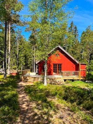 Röd stuga nära hav och skog - Bild 12
