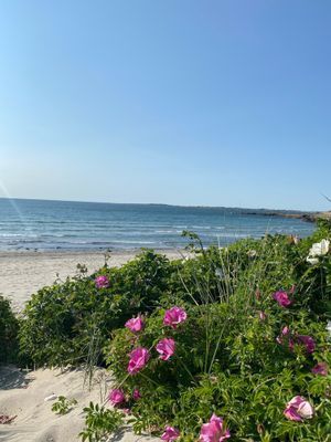 Strandnära hus i vackra Varberg - Bild 41