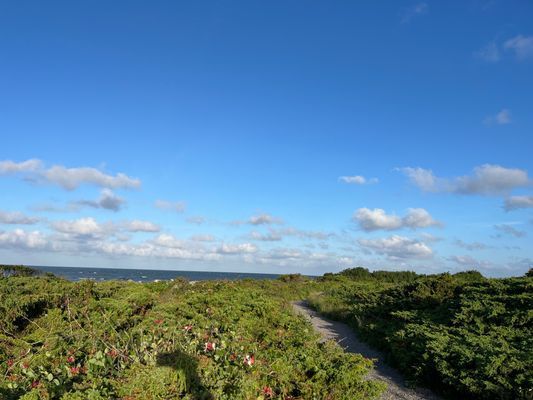 Strandnära hus i vackra Varberg - Bild 47