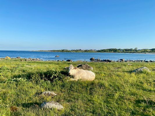 Strandnära hus i vackra Varberg - Bild 40