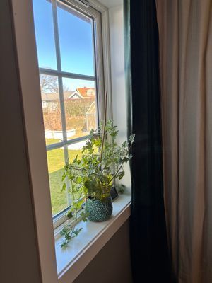 Strandnära hus i vackra Varberg - Bild 13