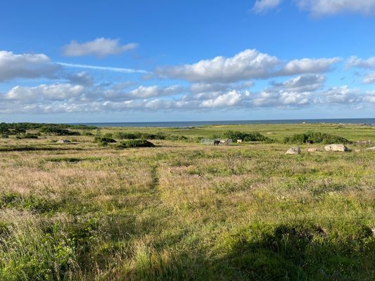 Strandnära hus i vackra Varberg - Bild 43