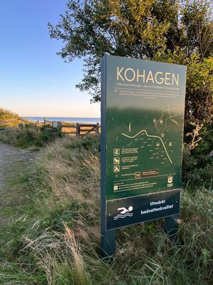 Strandnära hus i vackra Varberg - Bild 39