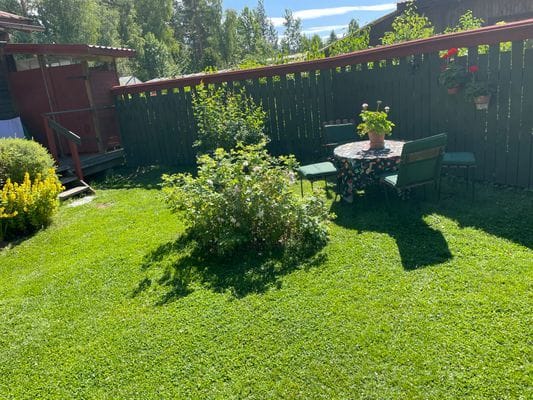 Timrad stuga på hyresvärdens tomt - Bild 2