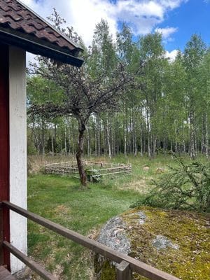 Enskilt stuga på landet - Bild 3