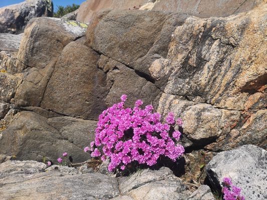 Lägenhet på mysiga Hönö - Bild 7