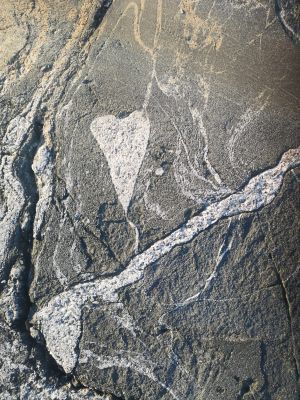 Lägenhet på mysiga Hönö - Bild 11