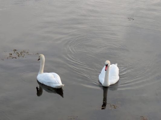 Lägenhet på mysiga Hönö - Bild 10