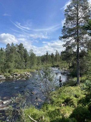 Stuga i Högvålen, Sveriges högst belägna by - Bild 22