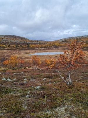 Stuga i Högvålen, Sveriges högst belägna by - Bild 28
