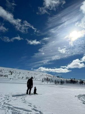 Stuga i Högvålen, Sveriges högst belägna by - Bild 24