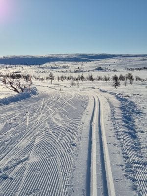 Stuga i Högvålen, Sveriges högst belägna by - Bild 29