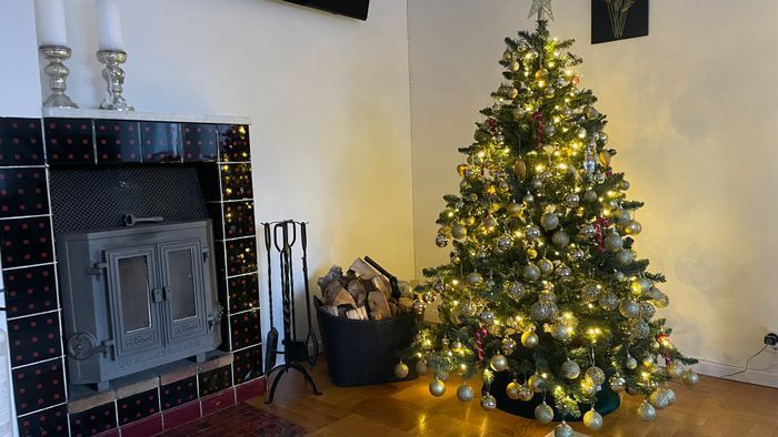 🇸🇪 Villa Michel – magi, värme & skogsidyll - Bild 10