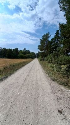 Röd trästuga Fria tider i augusti - Bild 34