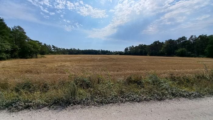 Röd trästuga Fria tider i augusti - Bild 37