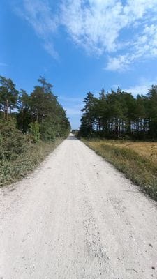 Röd trästuga Fria tider i augusti - Bild 36