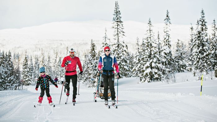 Ski In - Ski Out Edsåsdalen - Bild 8