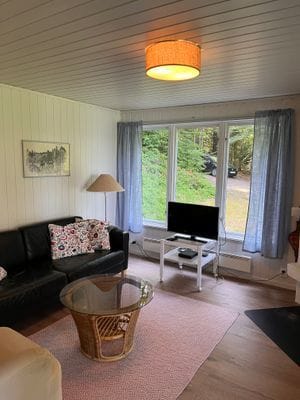 Sjöstuga med brygga och egen fiskebåt - Bild 8
