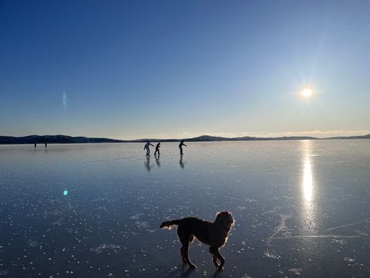Stuga "Vena Berg" - Bild 82