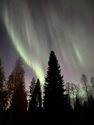 Njut av svenska Lappland med privat bastu - Bild 9