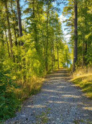 Grusvägen ner till huset från parkeringen vid landsvägen