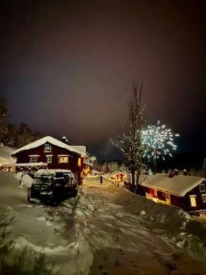 Ramundberget ski in ski out med bastu och kamin - Bild 12