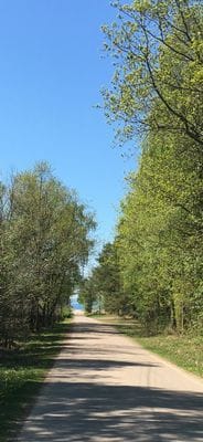 Trevlig stuga nära havet Ängelsbäcksstrand, Båstad - Bild 4