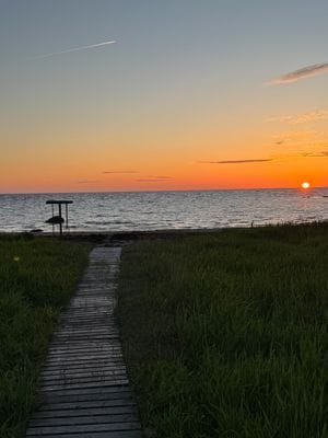 Rymlig familjestuga 200 m från havet – Glommen - Bild 20
