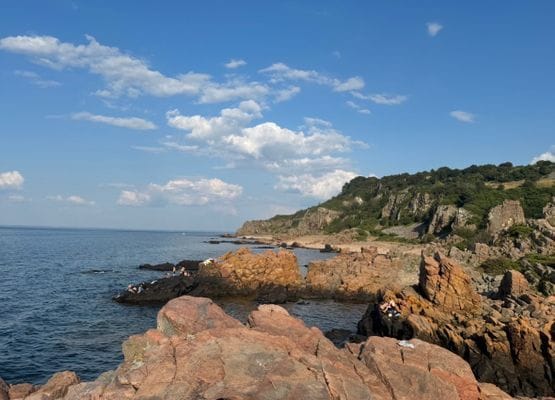 Charmig sommaridyll nära sandstrand i Vejbystrand - Bild 18