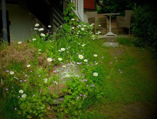 Skärgårdsidyll Gräddö - Bild 6