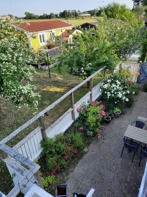 FANTASTISKT HUS MED STRANDTOMT PÅ STURKÖ; BLEKINGE - Bild 23