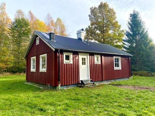 En pärla mitt ute i skogen intill en sjö. - Bild 19