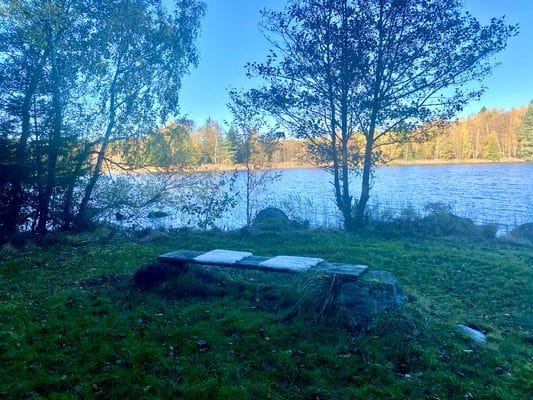 En pärla mitt ute i skogen intill en sjö. - Bild 20