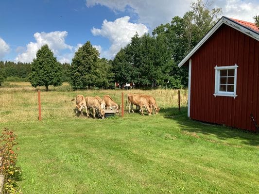 Mysigt hus på landet nära Skara. - Bild 5