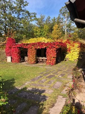 Hyr en egen Borg i Stockholms skärgård - Bild 3