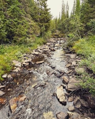 Nybyggt lofthus 15 min från Åre Björnen - Bild 61