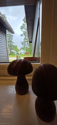 Villa Kjell – Bekvämt enplanshus med egen trädgård - Bild 10