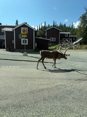 Mysig stuga vid Vargen Vemdalsskalet - Bild 6