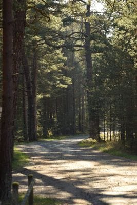 Mysig stuga vid havet i Äspet, Åhus - Bild 11