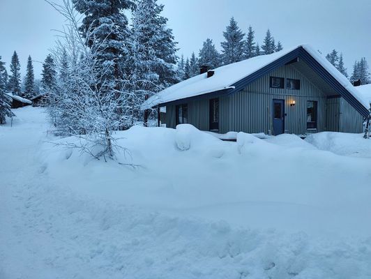 Lindvallen när Gustavsbacken