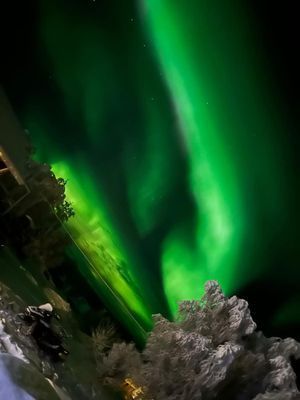 Njut av svenska Lappland med privat bastu - Bild 17