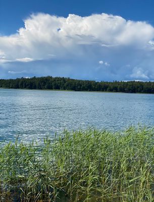 Landställe på Högmarsö med sjötomt - Bild 10