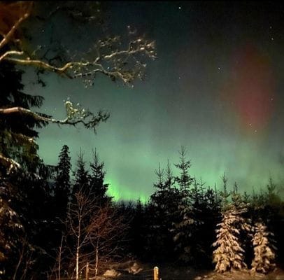 Mysigt fritidshus Lilla Björk in Seenähe - Bild 7