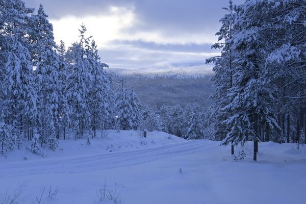 Mysig 8-bädds timmerstuga i Lofsdalen - Bild 16