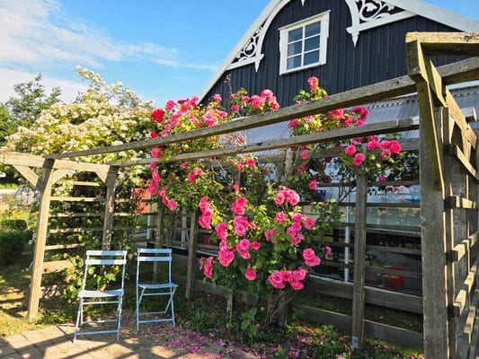 Unik skånelänga nära hav, natur och kultur! - Bild 27