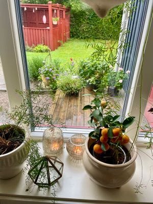 Mysigt hus i kyrkby nära Vänern - Bild 22