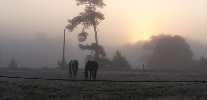 Naturskön och lantlig idyll mellan sjöar. - Bild 55
